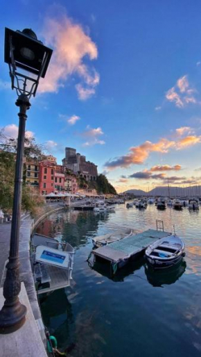 bydlo Mare Lerici